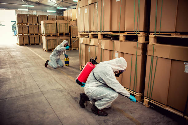 Best Best Pest Control Companies  in West Menlo Park, CA