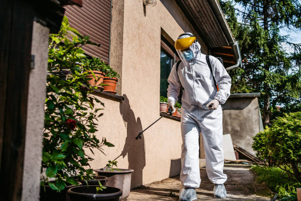 Best Pest Removal Services  in West Menlo Park, CA