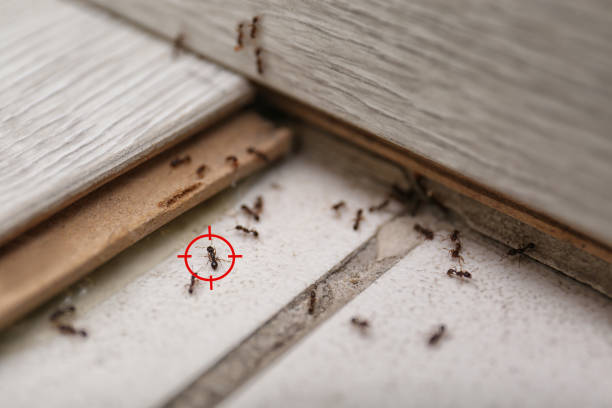  West Menlo Park, CA Pest Control Pros