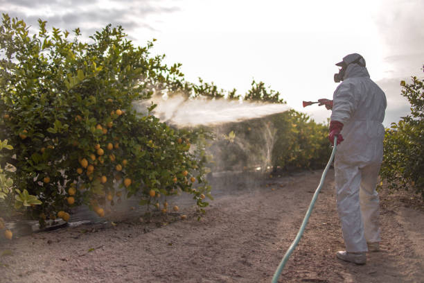 Reliable West Menlo Park, CA Pest Control Solutions