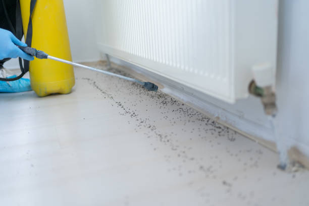 Best Pest Prevention Services  in West Menlo Park, CA