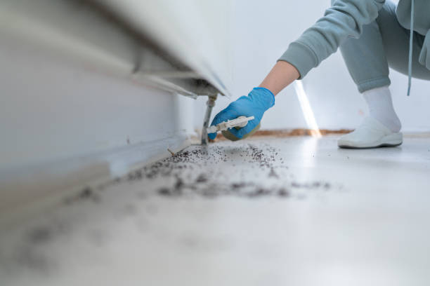 Best Bird Control  in West Menlo Park, CA